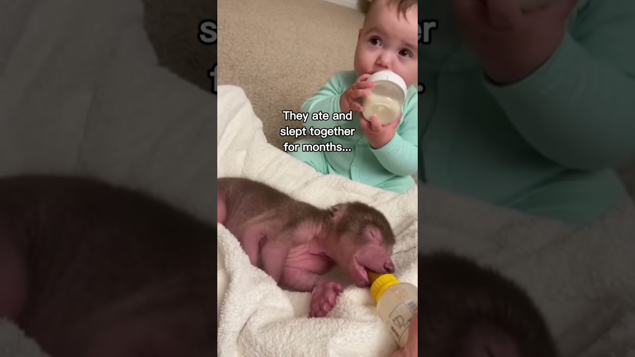 I’m not crying you are!😭❤️ #wholesome #animals