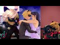 Miraculous ladybug tiktoks that made Adrien stalk marinette.