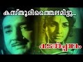 Kasthuri thailamittu superhit malayalam movie  kadalppalam  song
