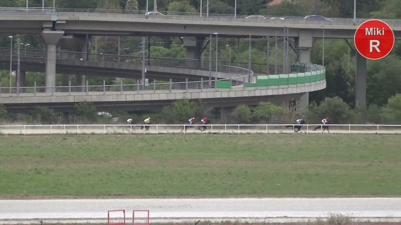 3 ca trka NIGER 1200m