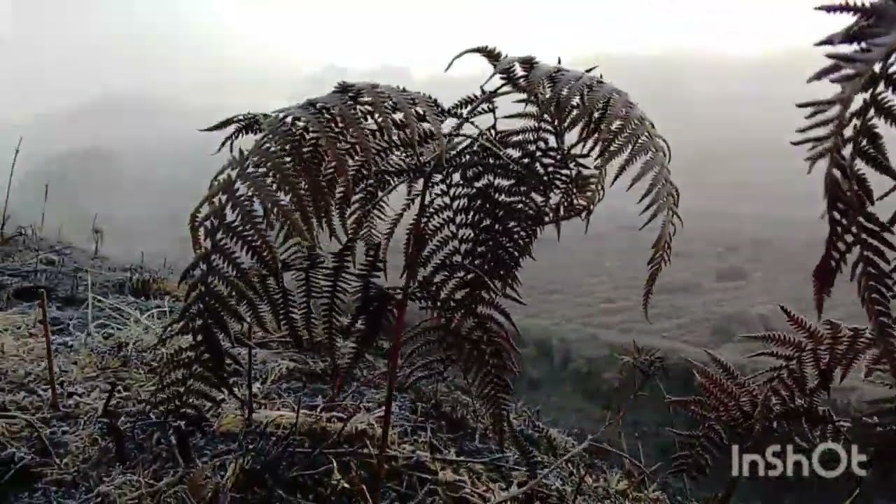 Mynt nga kwah ban pyn ia phi ka jing leit shang ka Jong  video 