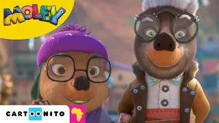 Meeting Moley And All His Friends Compilation Moley Cartoonito Africa