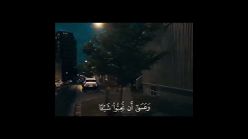 لا تجعل يومك يمرُّ بلا قرآن إن فاتتك التلاوة لا يفتك الإستماع