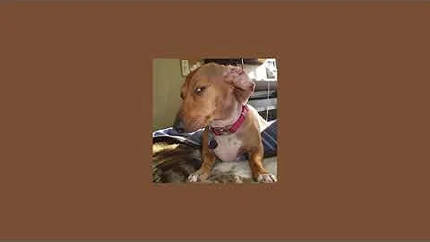 Tweeday - Tag Me in Worldwide『 S l o w e d 』