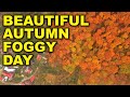 Relaxing Piano Music - Beautiful Foggy Autumn Day - Autumn Forest Colors &amp; Fog - Aerial Drone Video