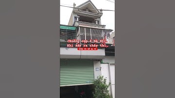 Nhà chuồng cọp ở Hà Nội #viral #vungoimora #tintuc