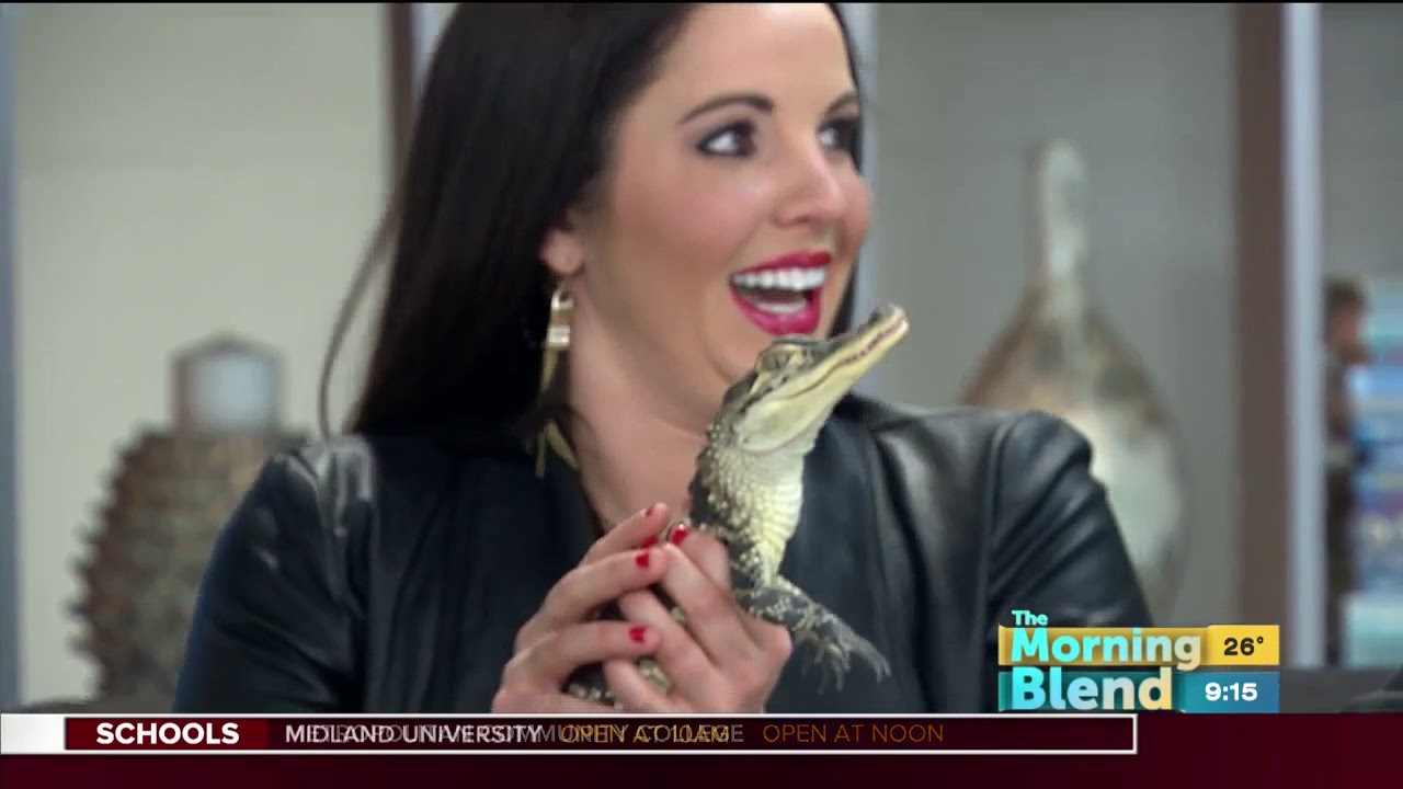 Wildlife Encounters - YouTube