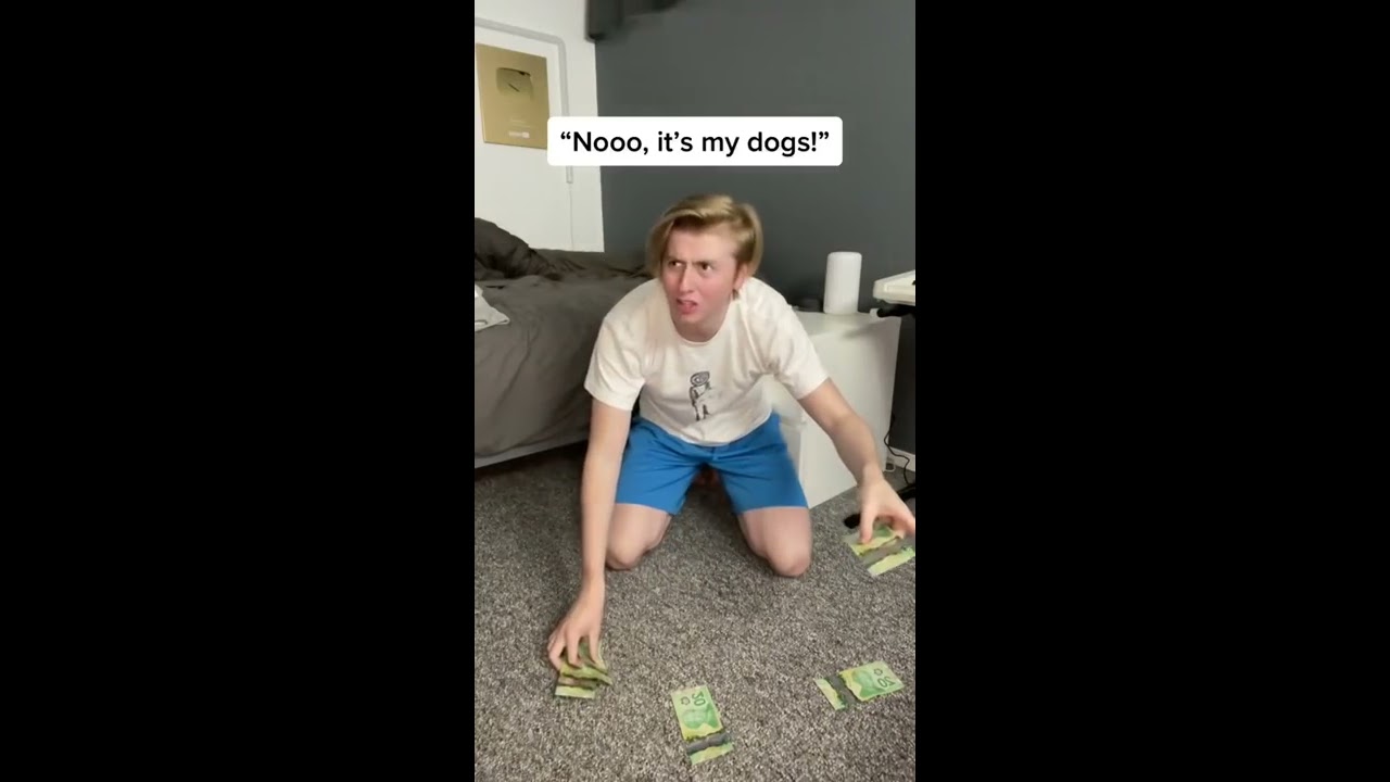 Dumb Things People Say Part 17 Shorts