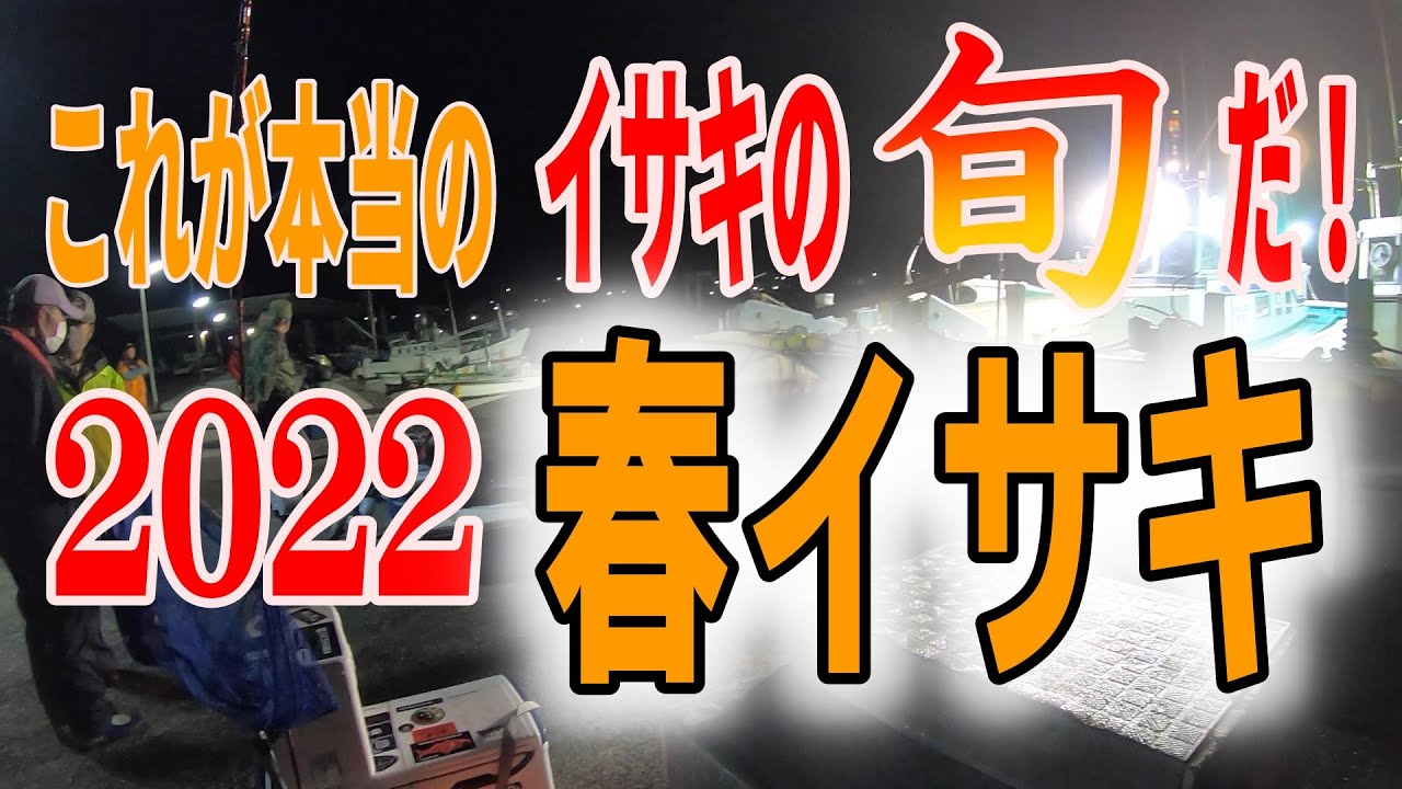 《和歌山・共栄丸》【麦わらイサキは旬じゃない!】本当は教えたくないイサキの旬　春イサキ　2022 4 11 イサキ釣り