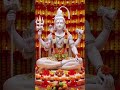 #har har mahadev #एकांत में बैठकर सुने #आदमी उसका मार्ग मिल जाएगा #हर हर महादेव 🙏🙏🕉️🕉️🚩🚩🙏🙏