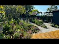 May full garden tour  cottage garden planting ideas perennial garden