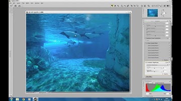 Capture NX2  Control Points