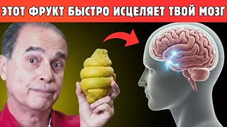 6 Фруктов, Которые Разрушают Болезнь Альцгеймера