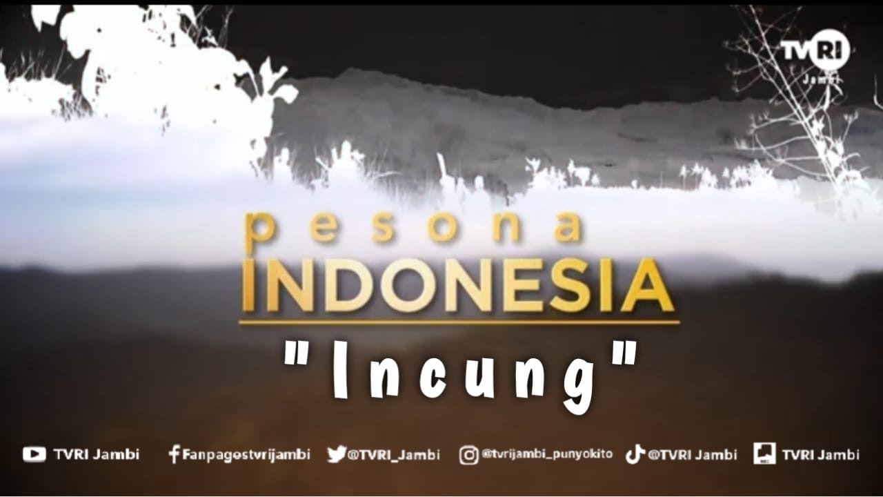 PESONA INDONESIA (Edisi 5 Desember 2023) | Incung#aksaraincung#TVRIJambi#MediaPemersatuBangsa