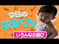 今日のはるくん〜「いろんなお遊び」〜