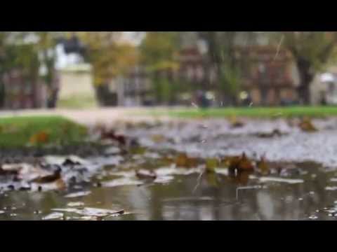 Autumn Rain