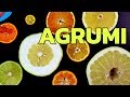 Limoni E Aranci Non Esistono Allo Stato Selvatico Lo Sapevi