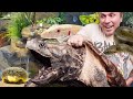 HUGE CAGE by CAGE REPTILE ZOO tour!!! | BRIAN BARCZYK