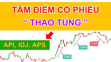 Tâm điểm thao túng cổ phiếu API, IDJ, APS