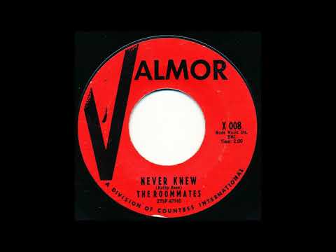 The Roommates — The Roomates - "Never Knew"  1961