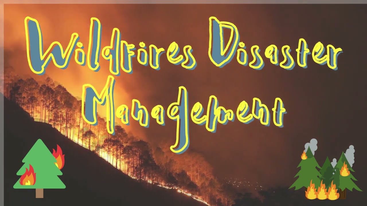 Wildfire Disaster Management