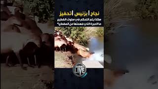 سلوك القطيع #التأثي...