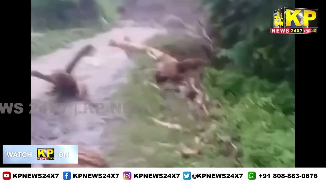 Himachal News : A Horrifying Scene Of Drain In Mandi District Due To Rain