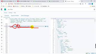 110、全文检索 ElasticSearch 进阶 两种查询方式