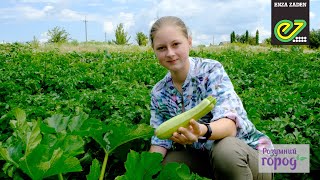 Каріна, та її власноруч вирощений Ардендо 174 F1 в рамках проекту Розумний Город