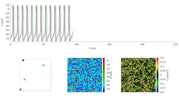 Network of Spiking Neurons with g = 0 001 mS/cm^2