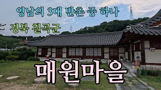영남 3대 반촌 칠곡 매원마을