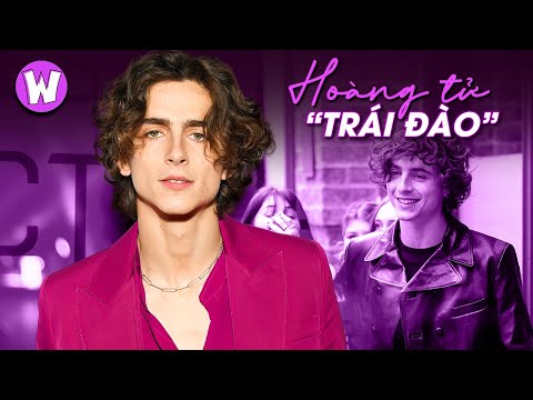 TIMOTHÉE CHALAMET: &quot;TRÁI ĐÀO CHÀ LÀ MÊ&quot; CỦA HOLLYWOOD