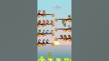 Bird Sort Puzzle Part 4 - #shortsfeed #puzzle #shorts #viralshort #video