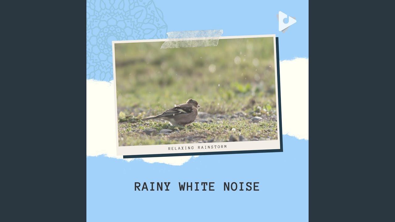 Rain Birds Loop adlı videoyu YouTube'da izle Rain Birds Loop adlı videoyu YouTube'da izle