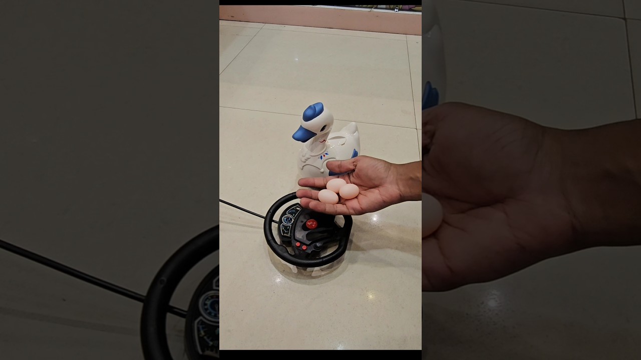 remote control egg Dene Wali duck 🥚😲