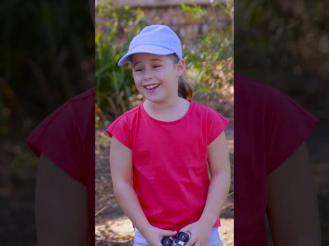 Найди Отважных птенцов! #Shorts