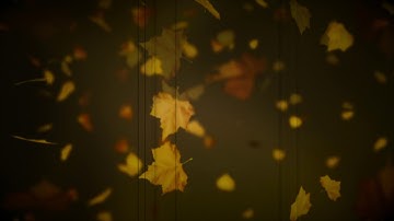 Montreal Assembly Looping 2 Count to five with: