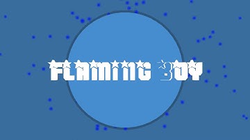 2d iNTRO FOR Flamingboy