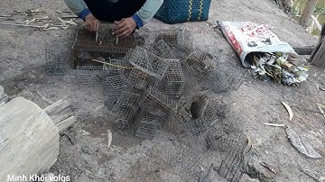 Bẫy chuột đồng không cần mồi. tập 9.Minh khôi vlogs