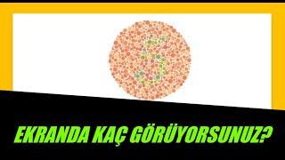 STANDARTLARA UYGUN RENK KÖRLÜĞÜ TESTİ / Color Blind Test / Ishihara testi