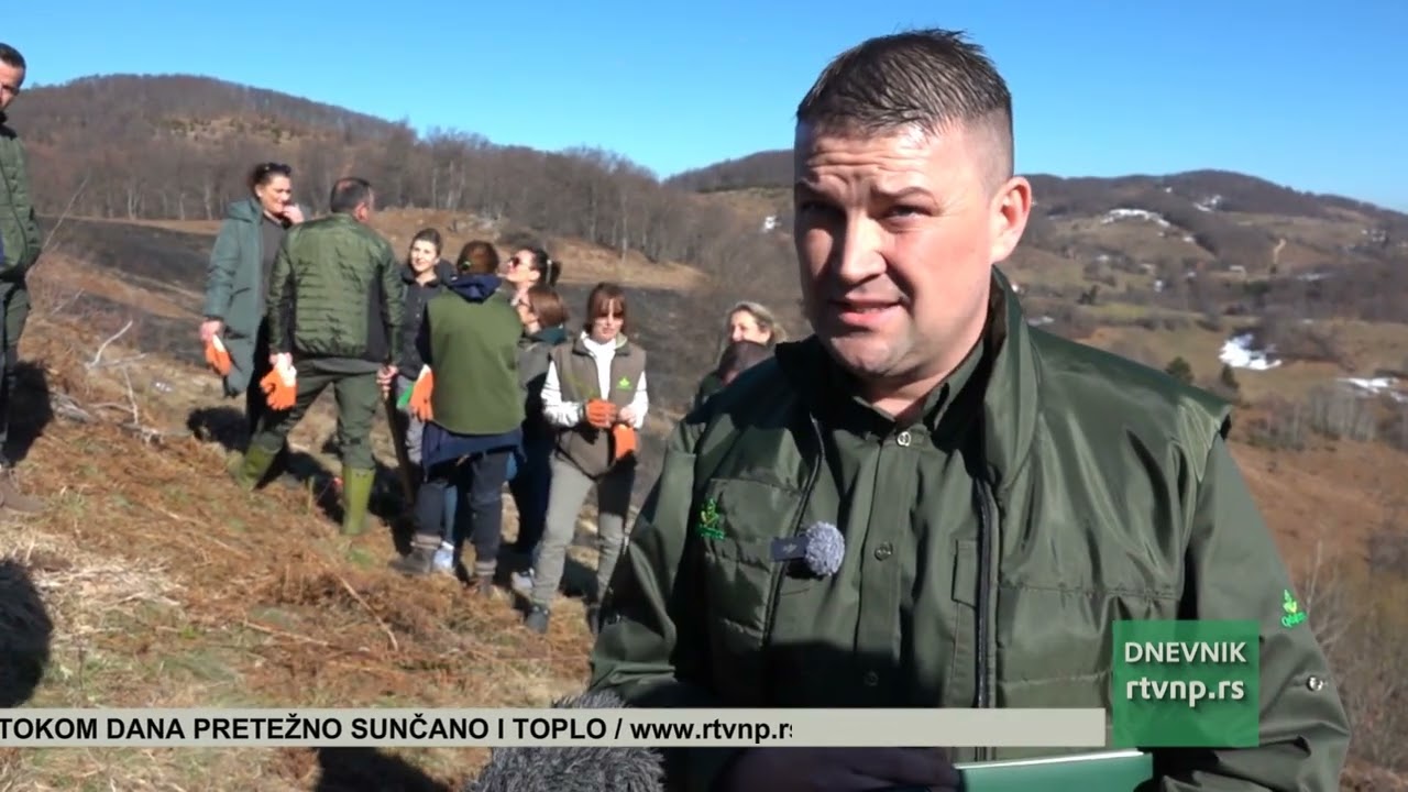 Pošumljavanje na Rogozni