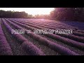 Paris ⇔ South of France ｜My Little Happiness at The Secret Garden Cafe｜Lavender Field in Provence