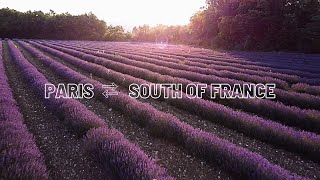Paris ⇔ South of France ｜My Little Happiness at The Secret Garden Cafe｜Lavender Field in Provence