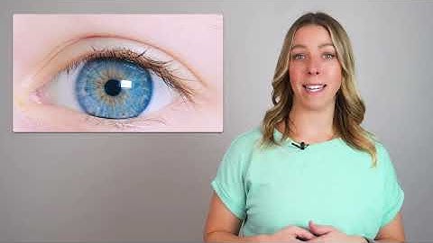 How to Use Color Blind Friendly Palettes to Make Your Designs Accessible