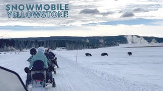 Is Snowmobiling in Yellowstone Worth It? National Park Snowmobile Tour What You Need to Know