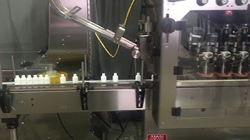 Automatic Inline Bottle Capping Machine Model TruCap 8 WFall