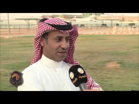 تقرير عن الخيل رسيم