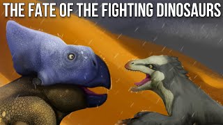 The Fate of the Fighting Dinosaurs