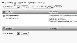 Wordpress Tutorial #8 is about  Comments  How To Update