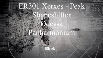 ER301 loops - modular synth - eurorack